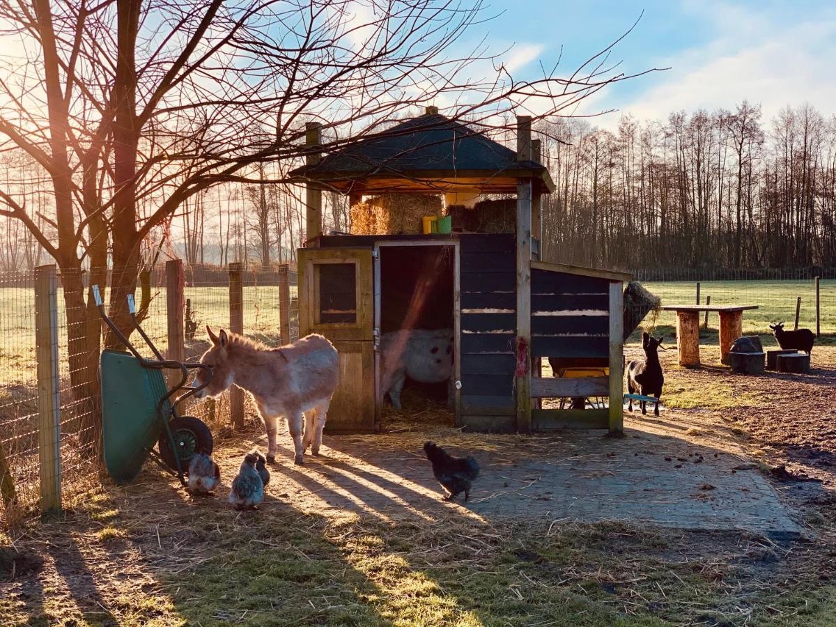 Camping Vossenberg - Op De Veluwe! 伊皮 外观 照片